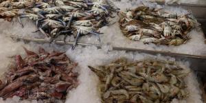 أسعار الأسماك اليوم، سعر البلطي يتراجع 5 جنيهات في سوق العبور - موقع رادار