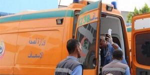 ضبط عاملين مصابين في مشاجرة بسبب خلافات الجيرة بسوهاج - موقع رادار