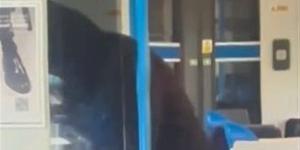 تنفيذ عملية طعن داخل قطار في لندن (فيديو) - موقع رادار