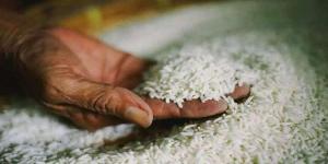 ارتفاع كبير في أسعار الأرز في الأسواق اليوم الخميس - موقع رادار
