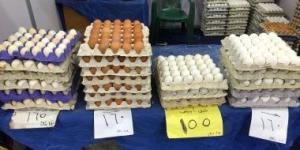 معرض أهلا رمضان بالعمرانية يطرح كرتونة بيض المائدة بـ155 جنيها - موقع رادار