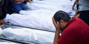 أحدث إحصاء لضحايا العدوان الإسرائيلي على غزة - موقع رادار