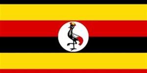حث الأوغنديين على تقديم ردود صادقة في التعداد السكاني - موقع رادار