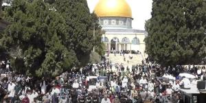 الآلاف سؤدون صلاة الجمعة من المسجد الأقصى رغم جرائم الاحتلال (بث مباشر) - موقع رادار