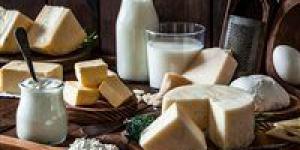 تراجع أسعار اللبن والجبنة البيضاء والرومي في الأسواق.. وكرتونة البيض بـ 150 جنيها - موقع رادار