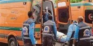 إصابة 7 أشخاص في انقلاب سيارة بطريق العلاقي بأسوان - موقع رادار