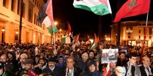 مسيرة ترفع شعار "وقف الإبادة في غزة" - موقع رادار