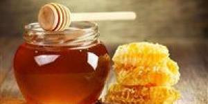 أبرزها مضاد أكسدة.. تعرف على فوائد العسل للجسم - موقع رادار