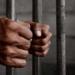 السجن المشدد 3 سنوات لمتهم بإحراز كمية من المخدرات بسوهاج - موقع رادار