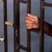 عقوبات رادعة لـ 16 متهما فى قضية الهجرة غير شرعية بالإسكندرية - موقع رادار