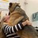 الكلاب يمكنها اكتشاف الإجهاد الناجم عن الصدمة من خلال شم أنفاس البشر | دراسة - موقع رادار