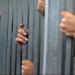 حبس 3 أشخاص بتهمة قتل طالب في نهار رمضان - موقع رادار